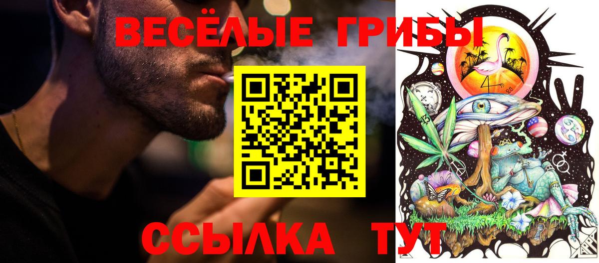 Фрязино  Псилоцибиновые грибы Psilocybine cubensis  Вход с VPN 