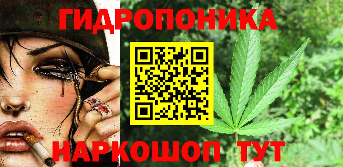 Бошки марихуана THC 21% Фрязино